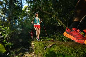 BIB: 
                            <button type="button" onclick="openModal(18921470)" class="btn btn-primary btn-sm float-right btn-popup" data-toggle="modal" data-target=".modal-high-quality">
                        <i class="fas fa-shopping-cart"></i> Add to Cart
                    </button>
                                            <button type="button" onclick="isThisMe(18921470, true)" class="btn btn-success btn-sm float-right btn-popup btn-isme hidden" data-toggle="tooltip" data-placement="bottom" title="นี่คือรูปของคุณใช่ไหม คลิกที่นี่เพื่อเอาเข้าอัลบั้ม">
                        <i class="fas fa-plus"></i> Add to album
                    </button>
                    <button type="button" onclick="isThisMe(18921470, false)" class="btn btn-warning btn-sm float-right btn-popup btn-isnotme hidden">
                        <i class="fas fa-ban"></i> Remove from album
                    </button>